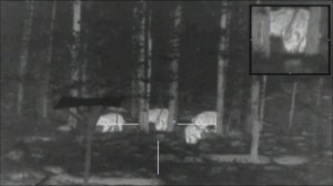 Охота с вышки на кабана!!! Промах!!