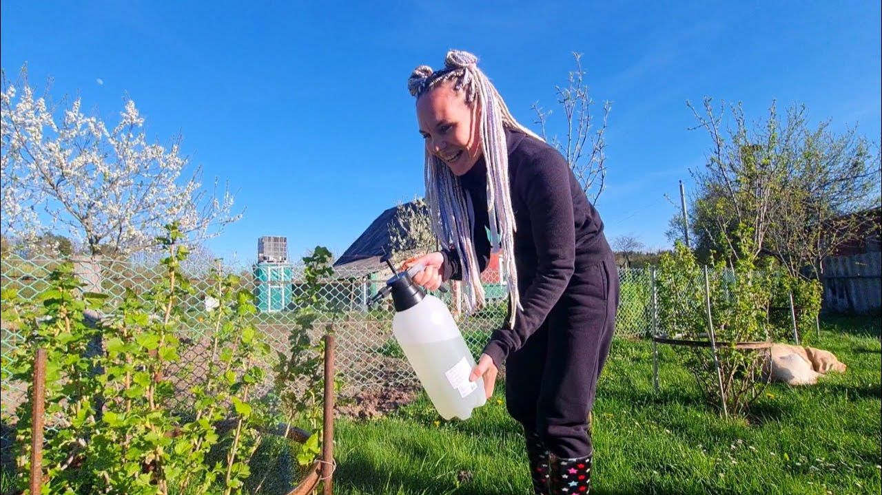 Приехали из города в деревню а там вредители! смотреть онлайн