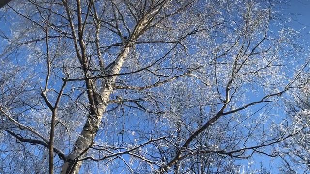 IMG_1544 (1) смотреть онлайн