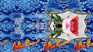 С Днём Рождения! Зимняя Сказка из Роз 8 от Киностудии Мудрого Кота Тимофея!!!