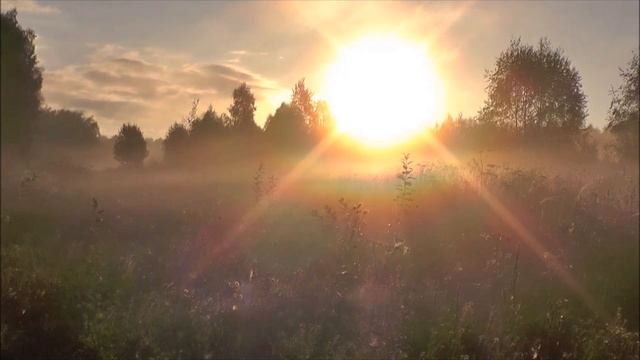 Живые картины руской природы 15