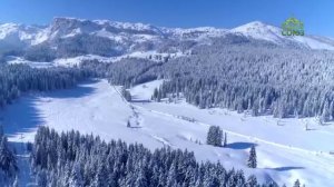 Стихи над миром. Стихотворения Зинаиды Миркиной