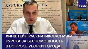 Хинштейн раскритиковал мэра Курска за беспомощность в вопросе уборки города