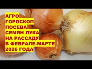 Самые Лучшие Дни Февраля-Марта 2026 Года  Для Посева  Семян Лука На Рассаду?!