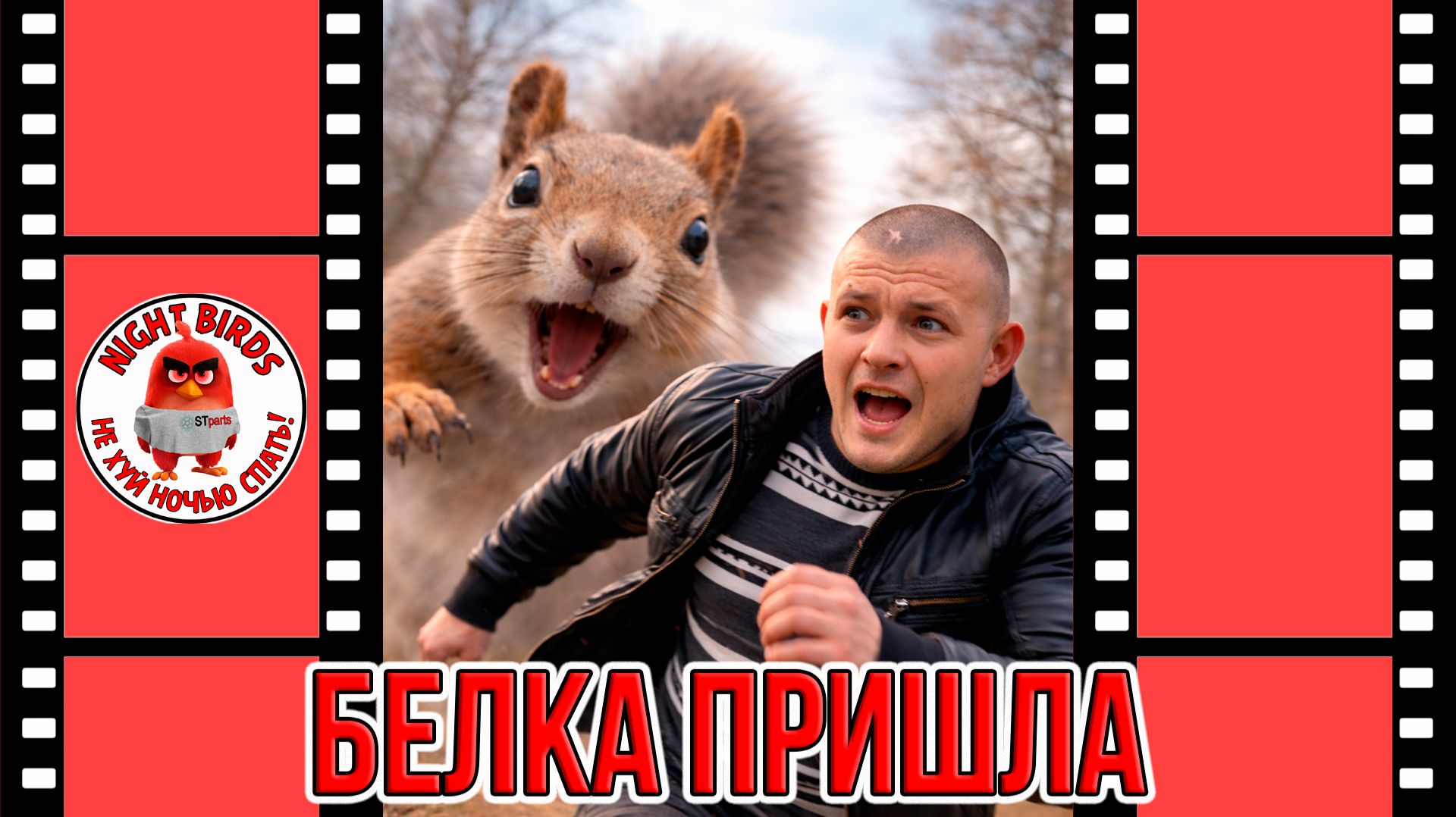 Белка пришла