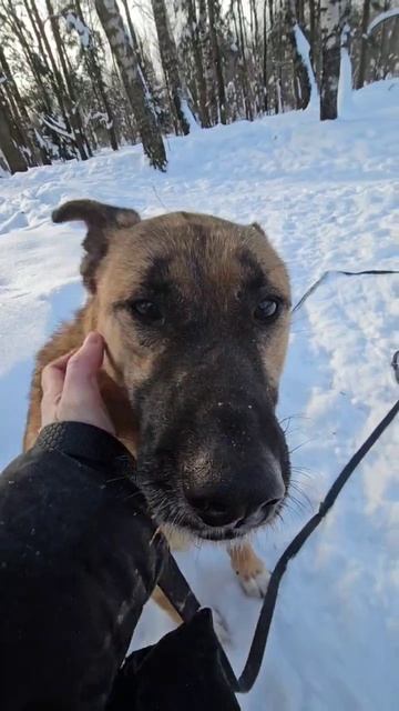 Хюррем смотреть онлайн