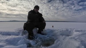 Зимняя рыбалка в феврале на ВЕДЬМУ. Руза.