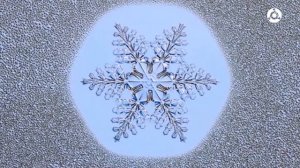 Знаете ли вы? Про снег