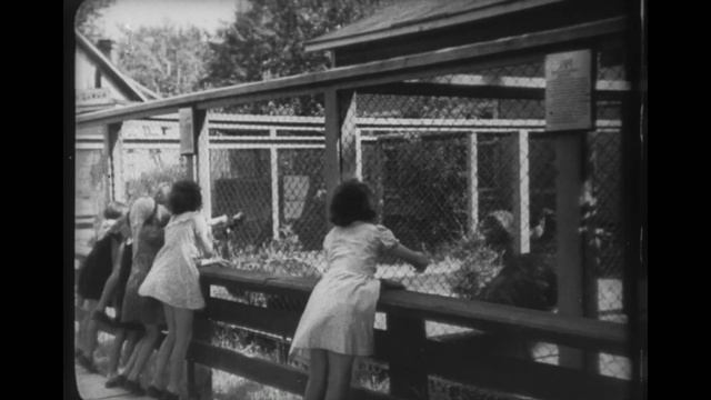 Блокадный зоопарк — 2026 (02)