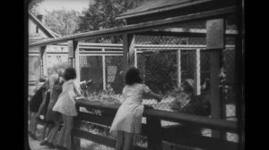 Блокадный зоопарк - 2026 (02)