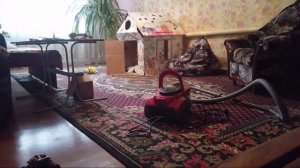 приключения Бэка (3 часть)