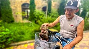 Люся ВСПОМНИЛА ДЕТСТВО и так мило катается по парку в корзинке получая подарки!