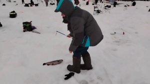 09.02.26 г. РК Волна.