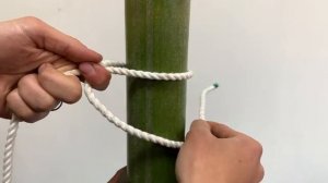 Японские узлы для садовников N1