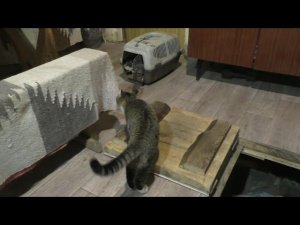 Встреча сына с матерью почти через месяц.  04. 11. 2025