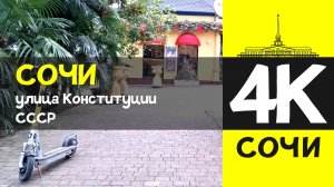 СОЧИ 4К / СОЧИ - улица Конституции СССР / 7 февраля 2026 / #путешествие #отдых #море