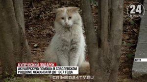 Проект реставрации здания бывшего роддома Ялты оценили в 200 млн рублей