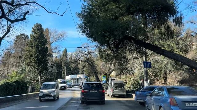 Ялта. По Кирова, от Садовой до Маршака улицами. 20.01.26. Крым. Crimea. Yalta. смотреть онлайн