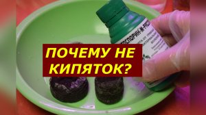 Мой метод активации торфяных таблеток без плесени и черной ножки.