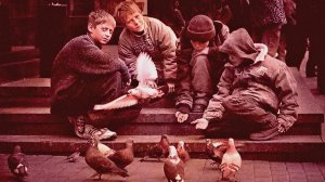 А я хочу опять по крышам бегать голубей гонять...