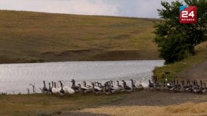 Сказание о земле Луганской. Провалье.