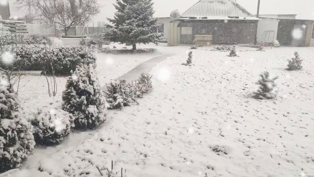 Не хочет зима с нами расставаться.