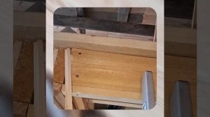 1000048153.mp4 (Собака наблюдает за устройством лестницы на 2 этаж в доме А-фрейм)