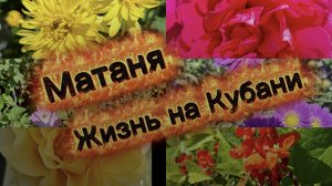 Наши будни/ Готовлю/ Довели до слёз/ Живём и работаем на Кубани/ Наша жизнь на юге/