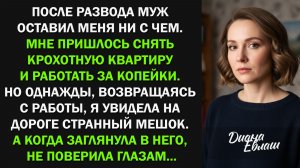 Возвращаясь с работы, я увидела на дороге мешок. А когда открыла его, не поверила глазам