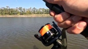 Карась на Pop-Up и другая разнорыбица на донку и Flat-Method Feeder