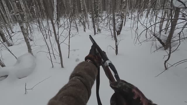 Распутываю следы зайца-беляка. Соль на солонец. Рябчик из под ног смотреть онлайн