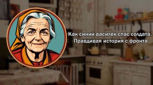 КАК СИНИЙ ВАСИЛЕК СПАС СОЛДАТА. ПРАВДИВАЯ ИСТОРИЯ С ФРОНТА