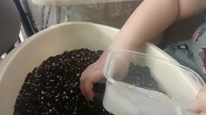 Посев перца и лука.Грунт для рассады и присыпка.