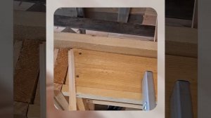 1000048151.mp4 (Собака наблюдает за устройством лестницы на 2 этаж в доме А-фрейм)