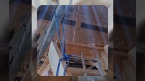 1000048157.mp4 (Собака наблюдает за устройством лестницы на 2 этаж в доме А-фрейм)