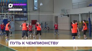 В Лесозаводске проходит первенство Приморского края по волейболу среди юношей и девушек