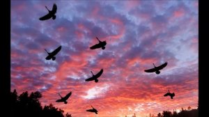 АХ, ЕСЛИ Б ТОЛЬКО ЗНАЛИ НАШИ ДЕДЫ...