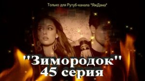 Впечатления от 45 серии турецкого сериала "Зимородок"