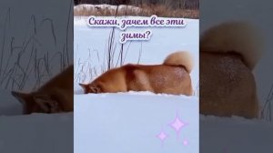 VID_20260209_010250_089.mp4