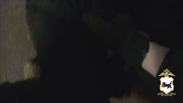 Сбытчик и его подельница, снабжавшие наркозависимых граждан кокаином, задержаны иркутской полицией смотреть онлайн