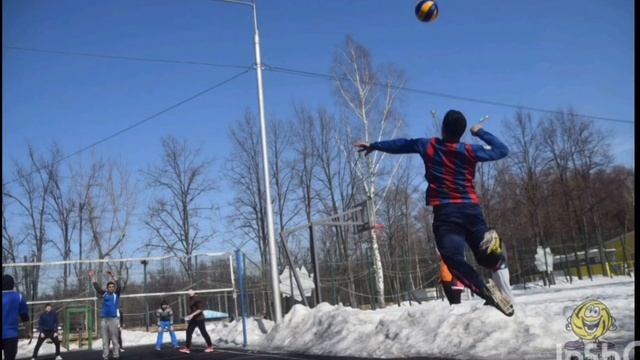 Волейбольные площадки Измайловского парка культуры и отдыха