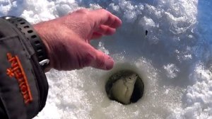 "ЧЕРТИ" против "ВЕДЬМЫ". Рыбалка БЕЗ МОТЫЛЯ в МОРОЗ -20 градусов.