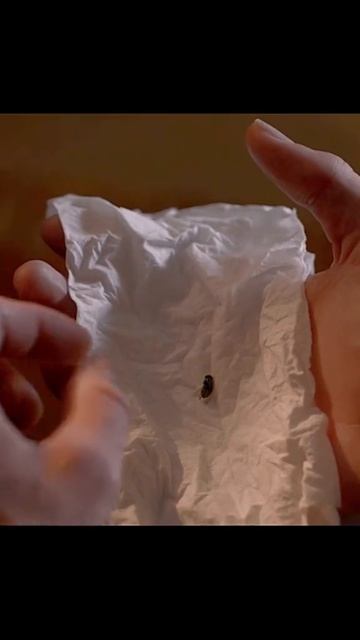 13 грехов 2014