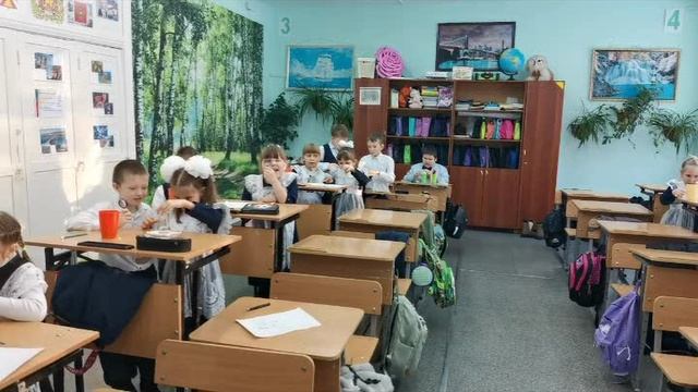 Окружающий мир.1 класс. Откуда в снежках грязь