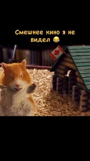 🍿Миссия Дарвина