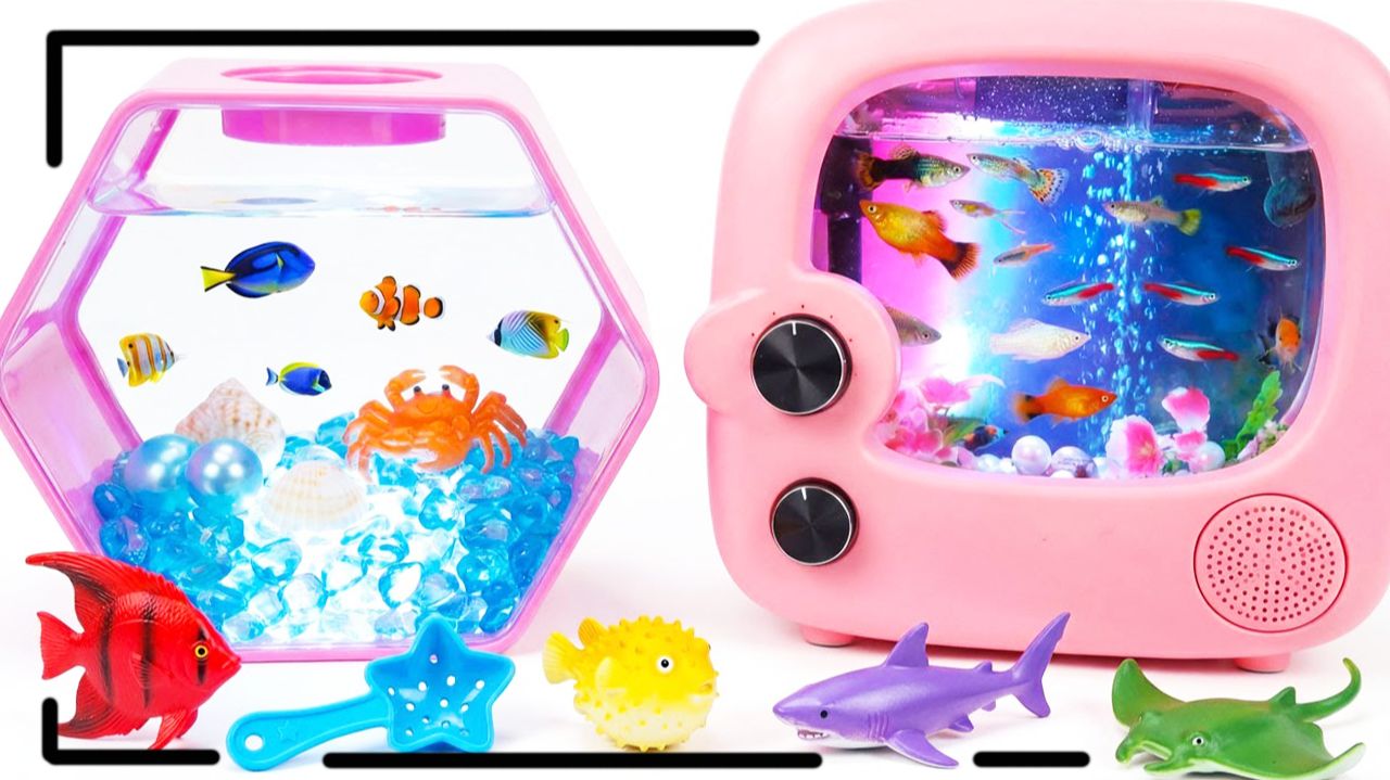 Мультики для детей. Радужные рыбки для аквариума🦈🐳🐡. Смотреть онлайн мультики для малышей. смотреть онлайн