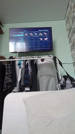 вторая часть чудесный город