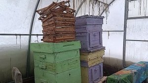 КАК ЖИТЬ ДАЛЬШЕ - ДАВАЙТЕ ПОГОВОРИМ