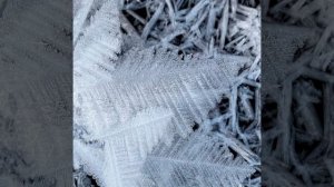 VID_20260209_010919_135.mp4