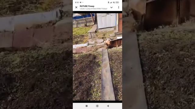 1000054252.mp4 смотреть онлайн